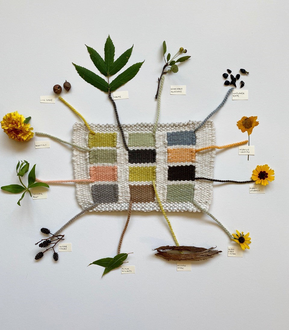 Workshop Recording: How To Naturally Dye Your Weaving Loops With Plants - with Kayla Powers
